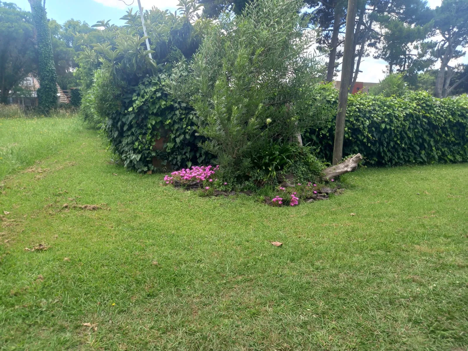 lote-el-remo-y-las-carabelas-1-1789242421632.webp